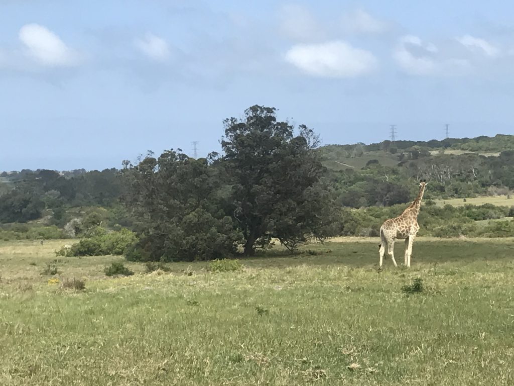 Fotoverslag reis Oost-Kaap Zuid-Afrika