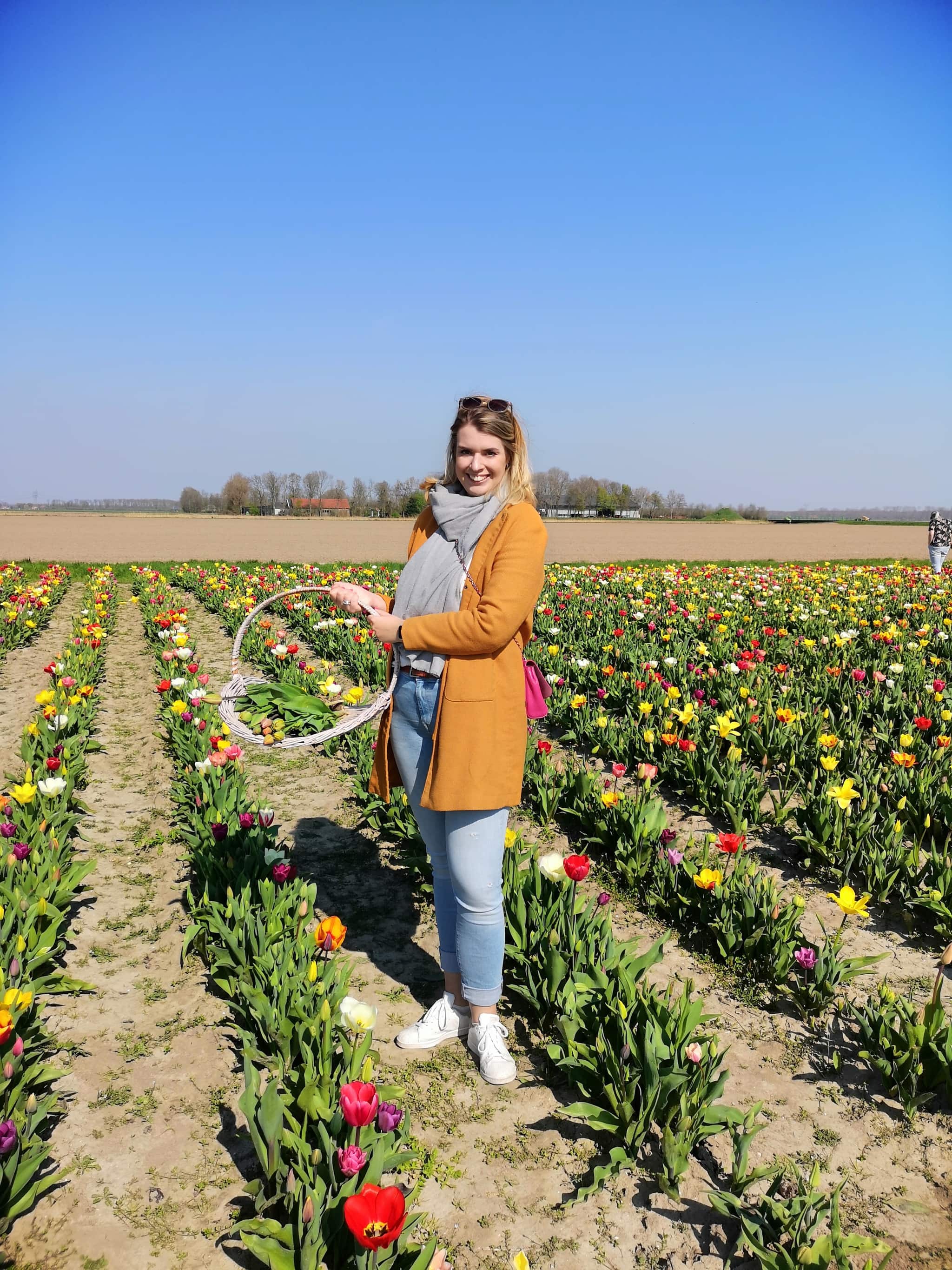 Tip: Tulpenroute door de polder