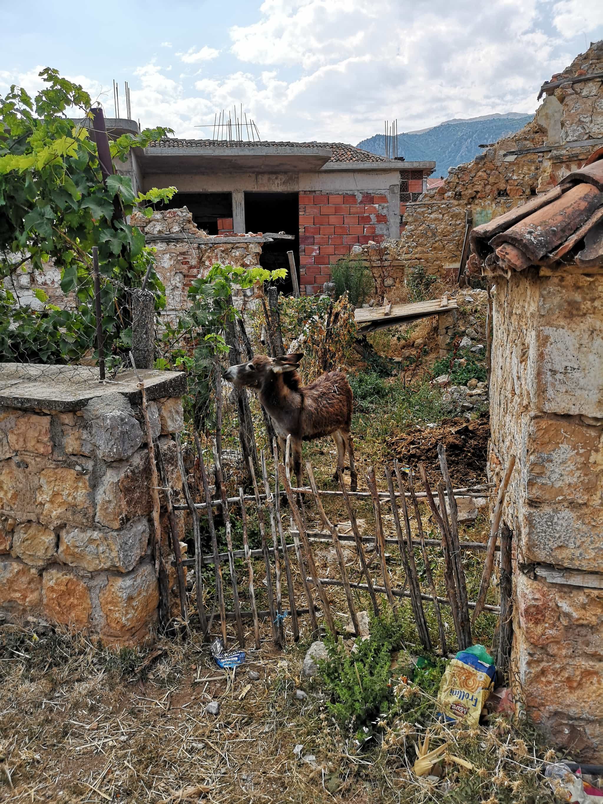 Vakantieverslag Ohrid, Macedonië