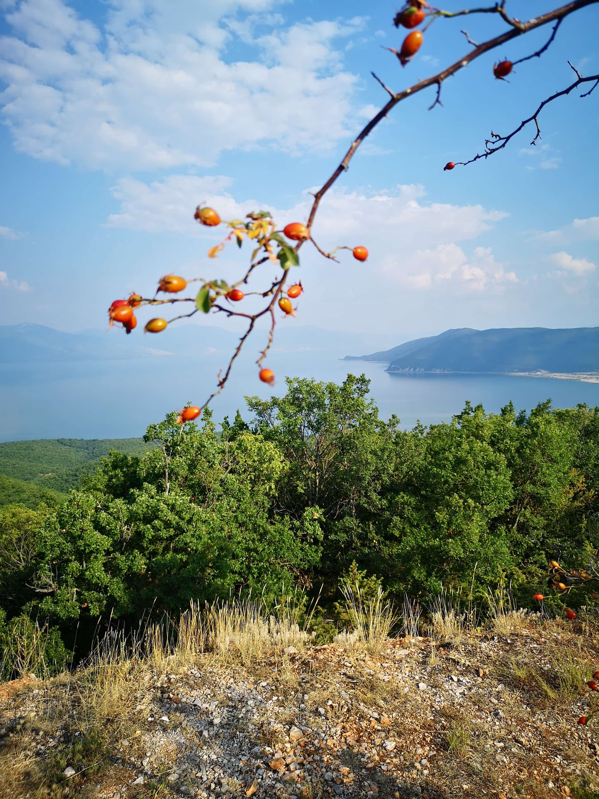 Vakantieverslag Ohrid, Macedonië