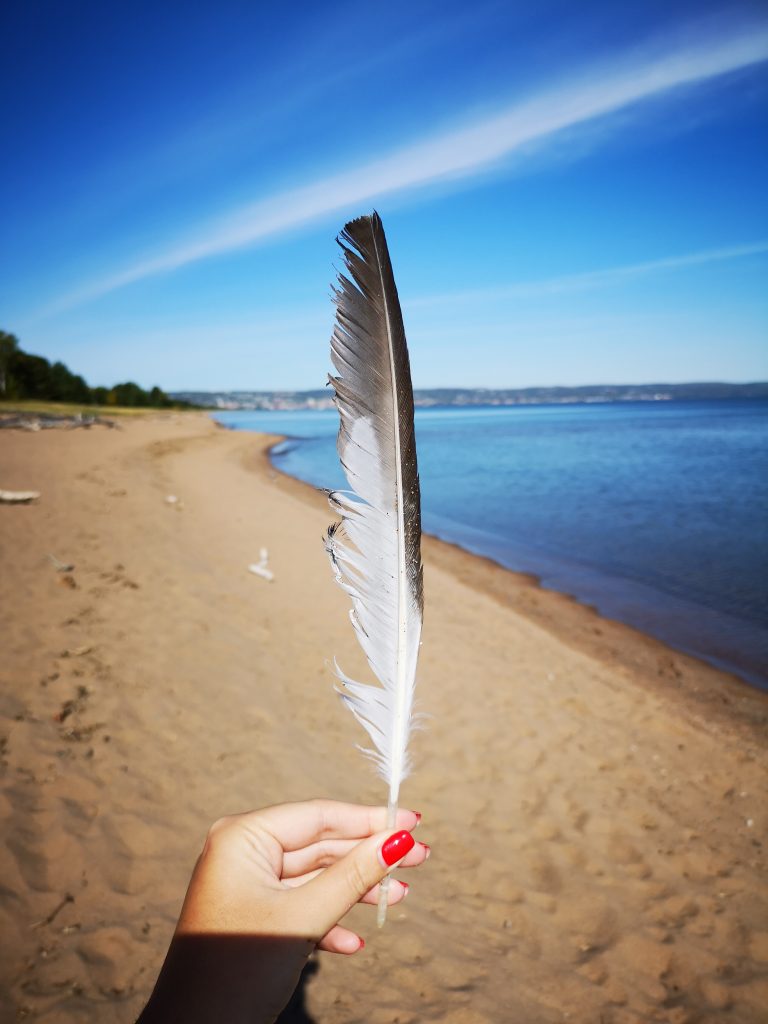 De natuur ontdekken in de staat Minnesota, Amerika