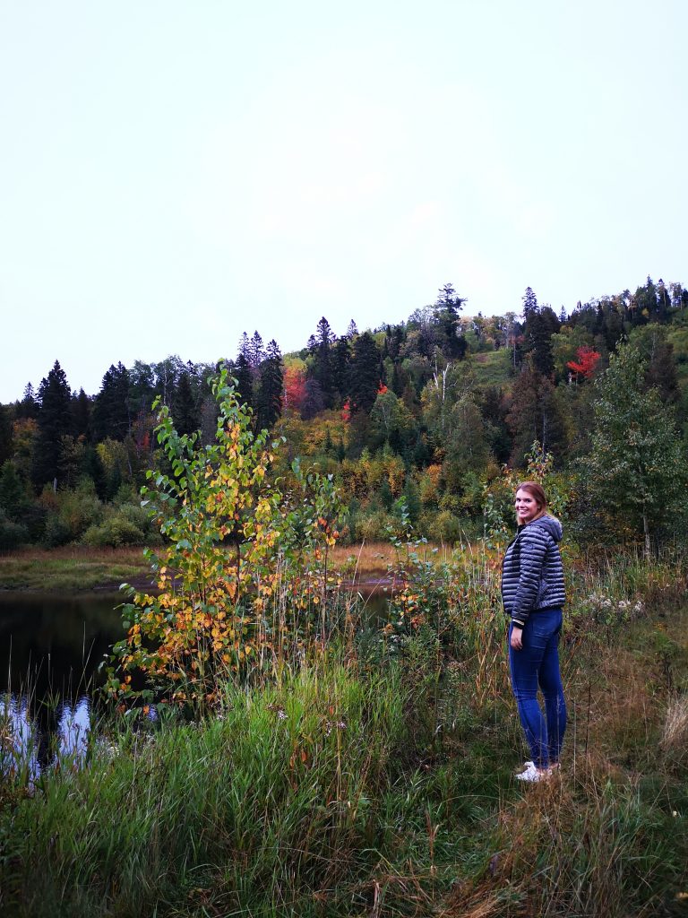 De natuur ontdekken in de staat Minnesota, Amerika