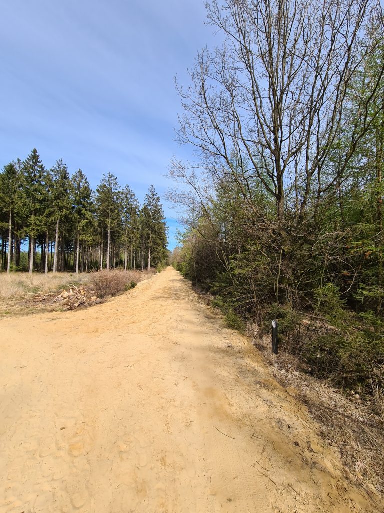 Wandeltip: Plankenpad in Dwingelderveld