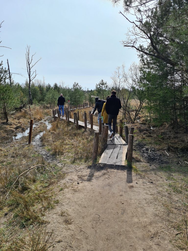 Wandeltip: Plankenpad in Dwingelderveld