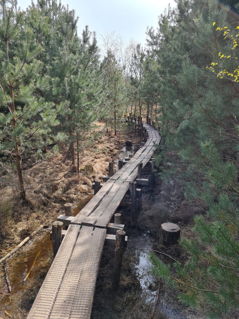 Wandeltip: Plankenpad in Dwingelderveld