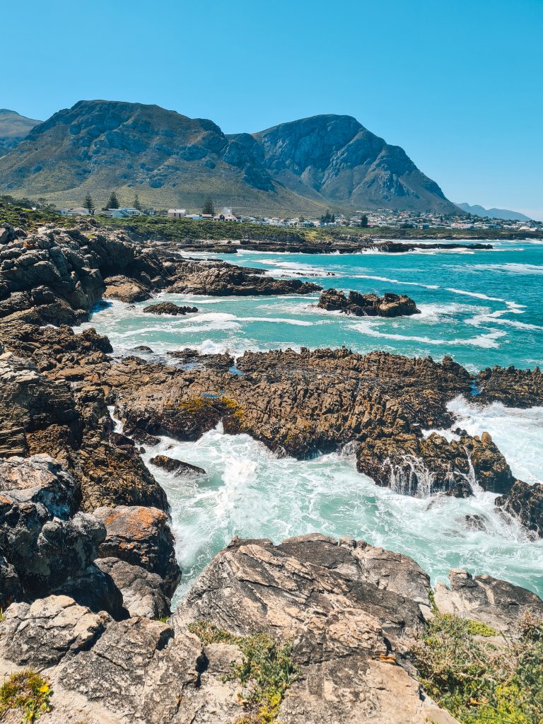 Bezienswaardigheden Kaapstad Walvissen Hermanus