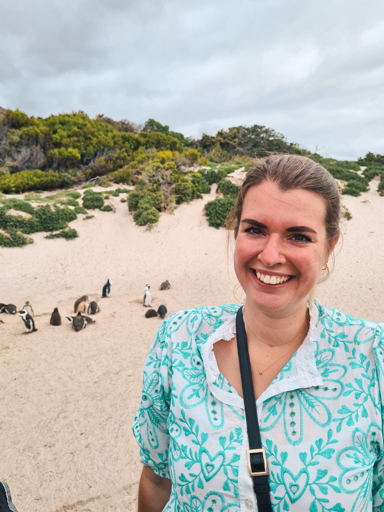 Bezienswaardigheden Kaapstad Pinguïns Boukders Beach