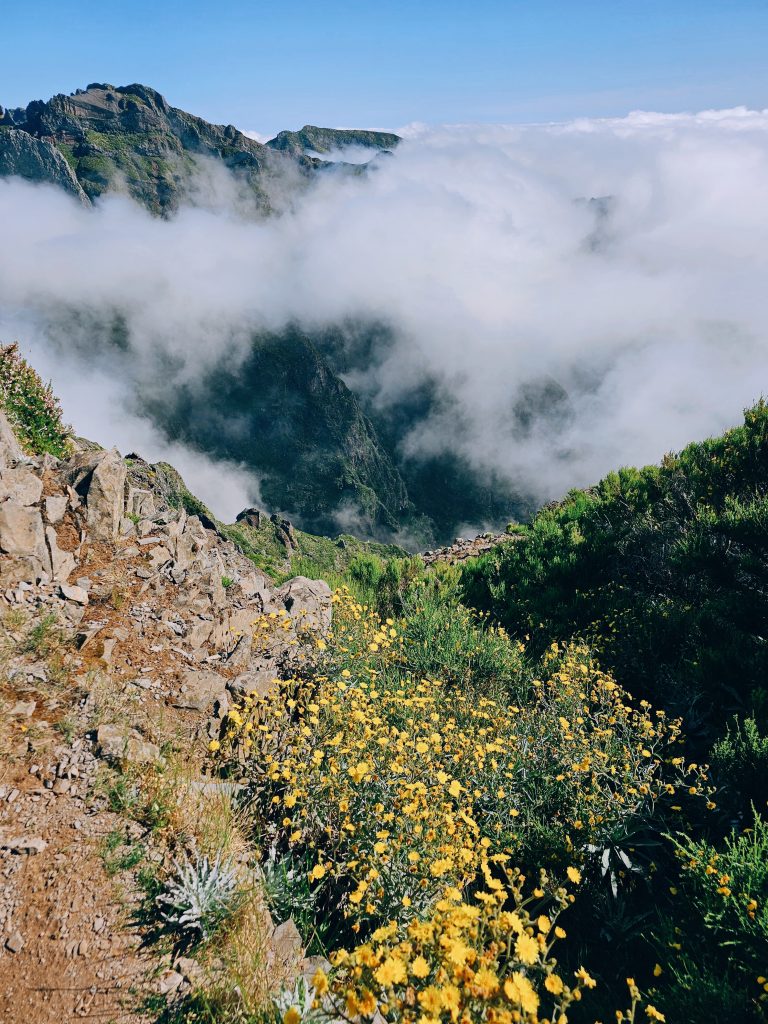 Madeira Bezienswaardigheden