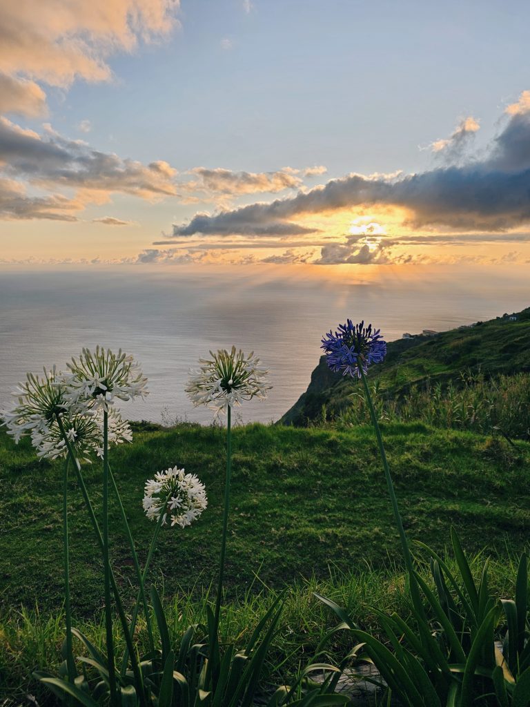 Madeira Bezienswaardigheden