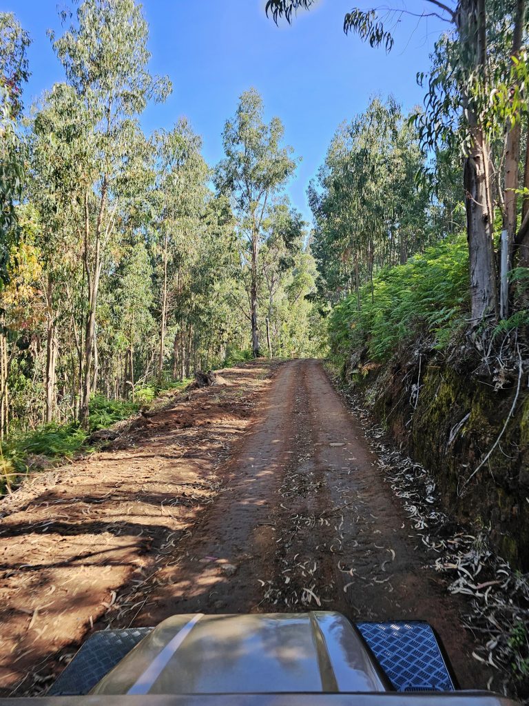 Madeira Bezienswaardigheden