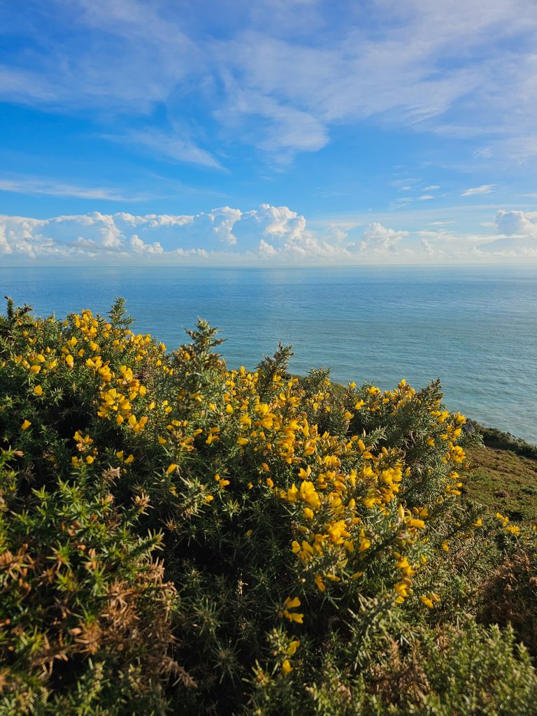 Howth Kliffen