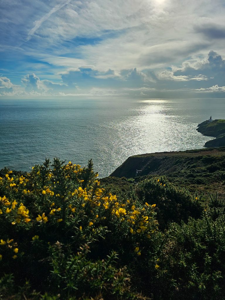 Howth Cliffs