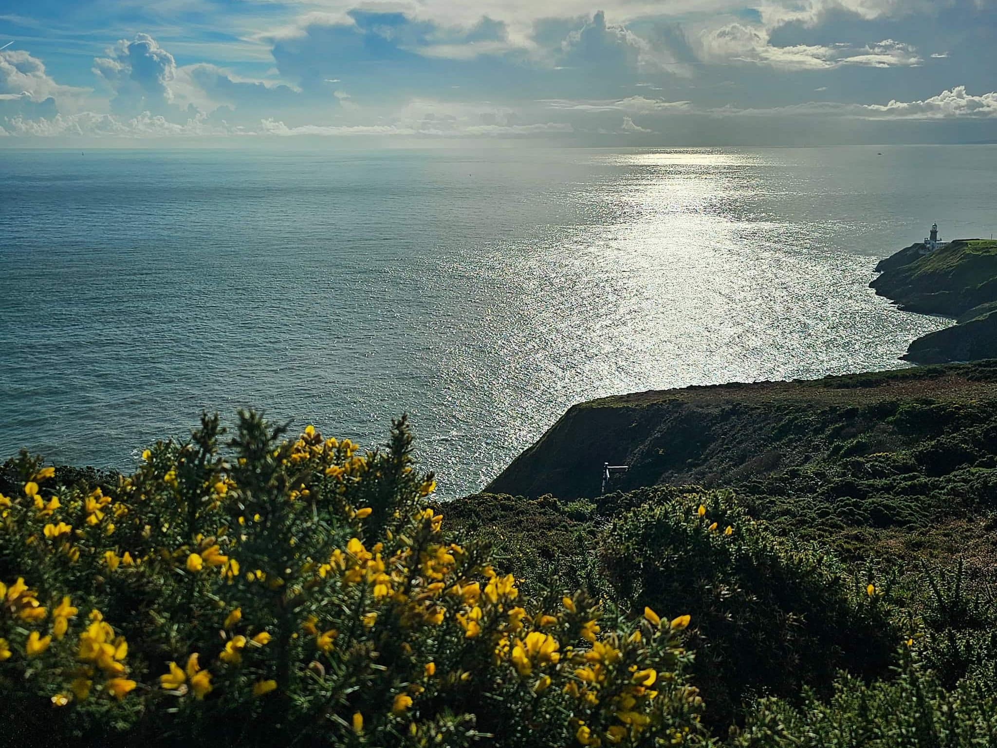 Howth Kliffen