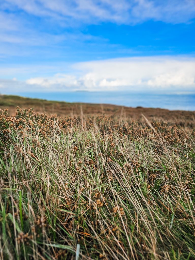 Howth Cliffs