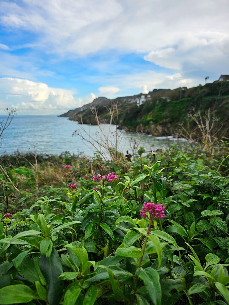 Howth Cliffs