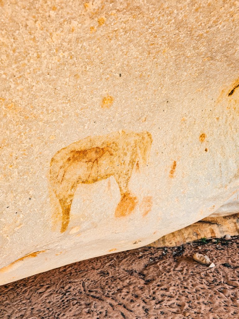 Kagga Kamma Nature Reserve Bushman Paintings