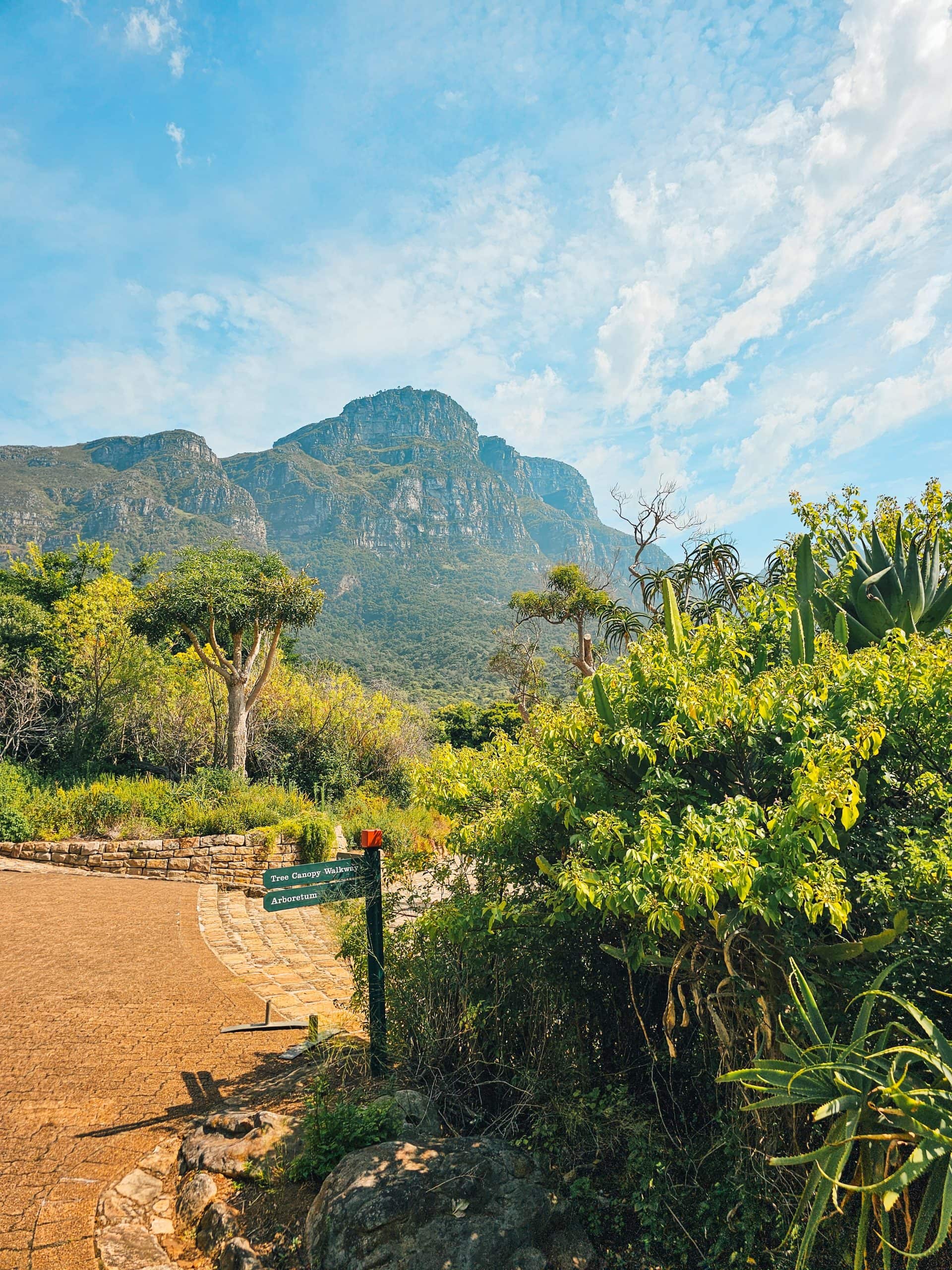 Bezienswaardigheden Kaapstad Kirstenbosch