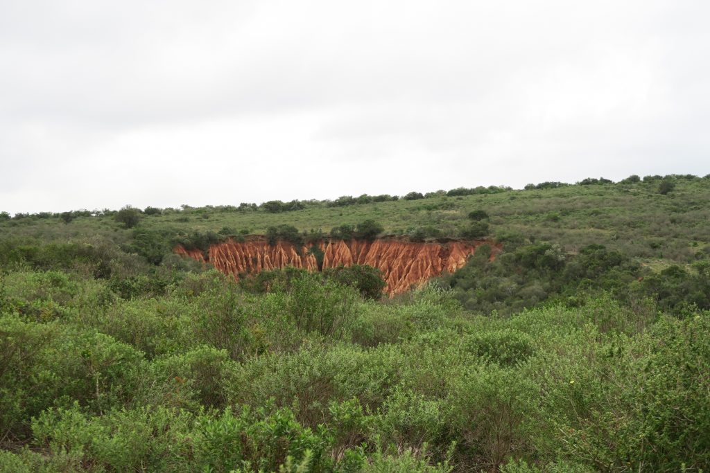 Fotoverslag reis Oost-Kaap Zuid-Afrika