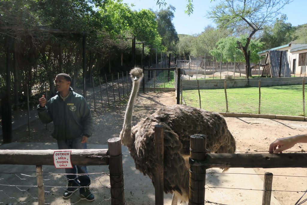 Fotoverslag reis Oost-Kaap Zuid-Afrika