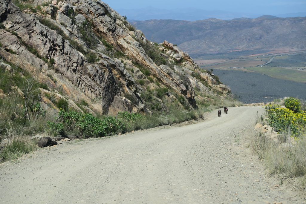 Fotoverslag reis Oost-Kaap Zuid-Afrika