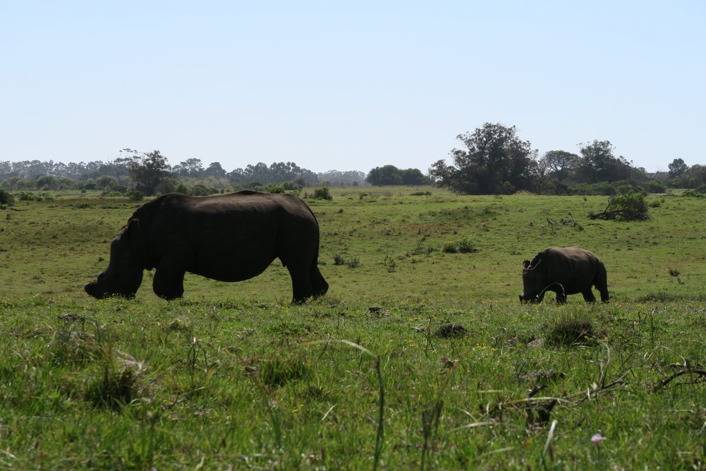 Fotoverslag reis Oost-Kaap Zuid-Afrika