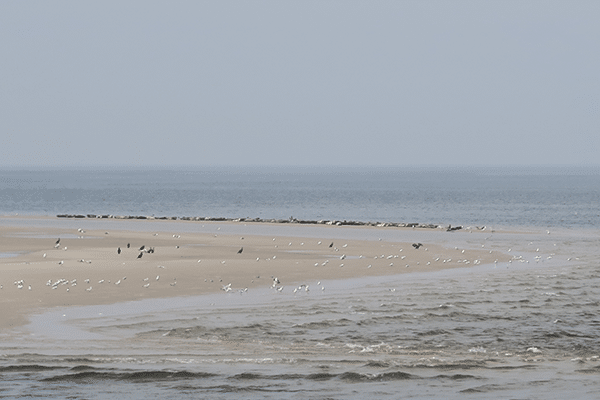 Weekendje Texel, wat te doen?