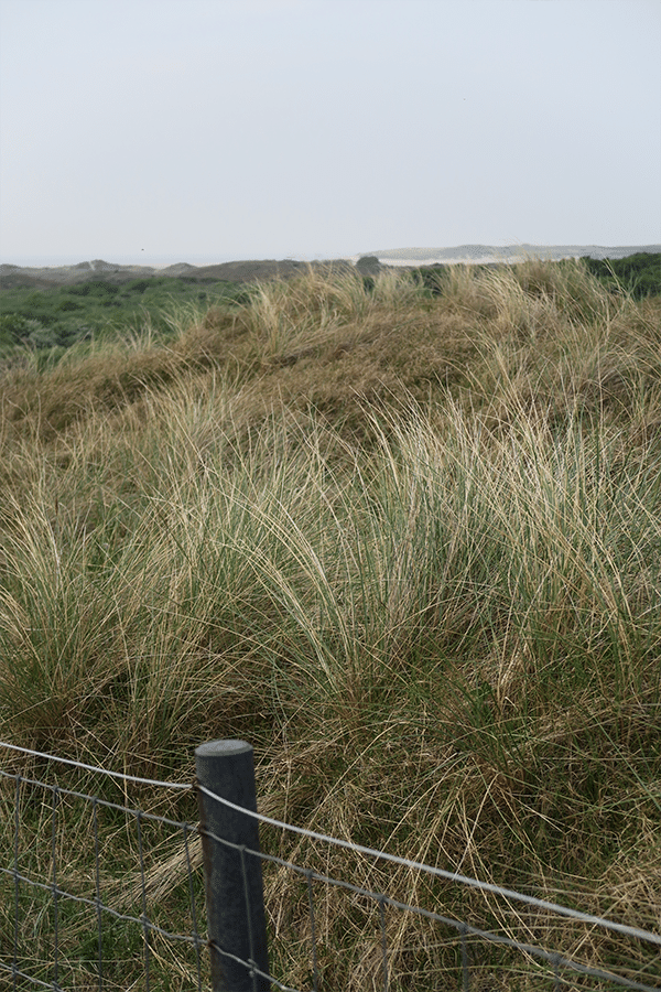 Weekendje Texel, wat te doen?