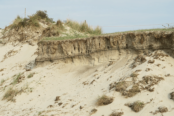 Weekendje Texel, wat te doen?