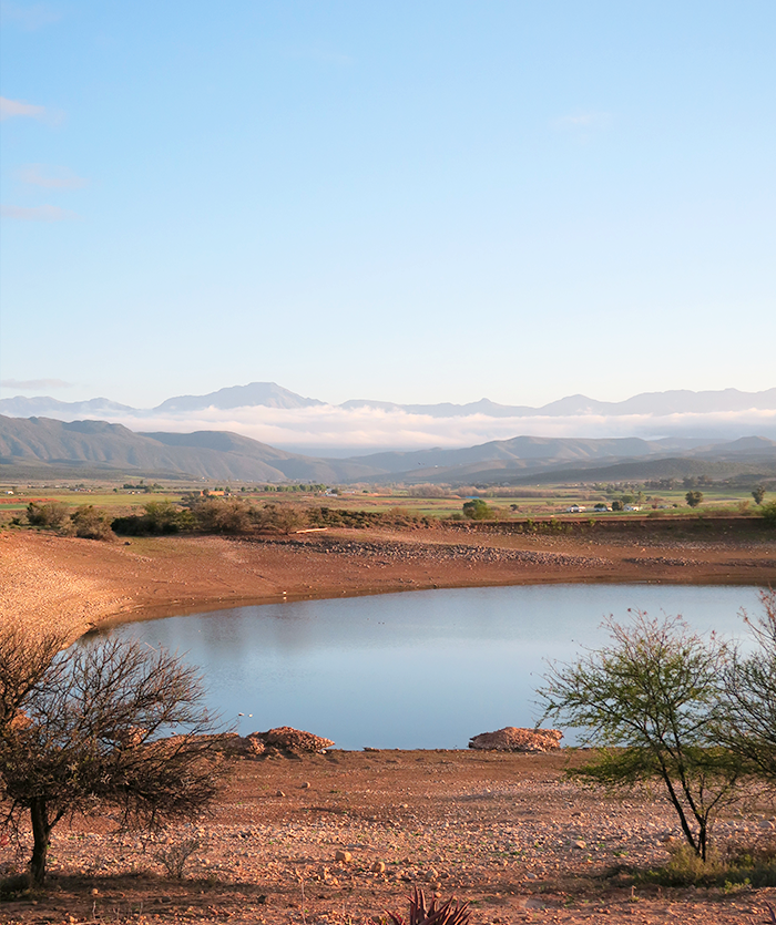 De mooiste plekken in Zuid-Afrika rondom de Oost-kaap