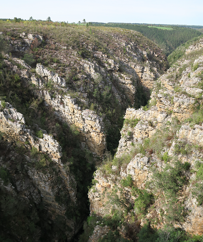 De mooiste plekken in Zuid-Afrika rondom de Oost-kaap