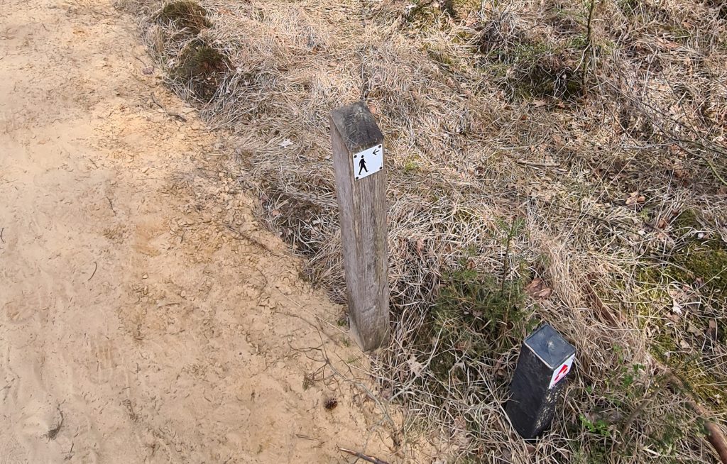 Wandeltip: Plankenpad in Dwingelderveld