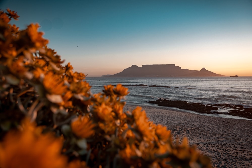 Bezienswaardigheden Kaapstad Bloubergstrand