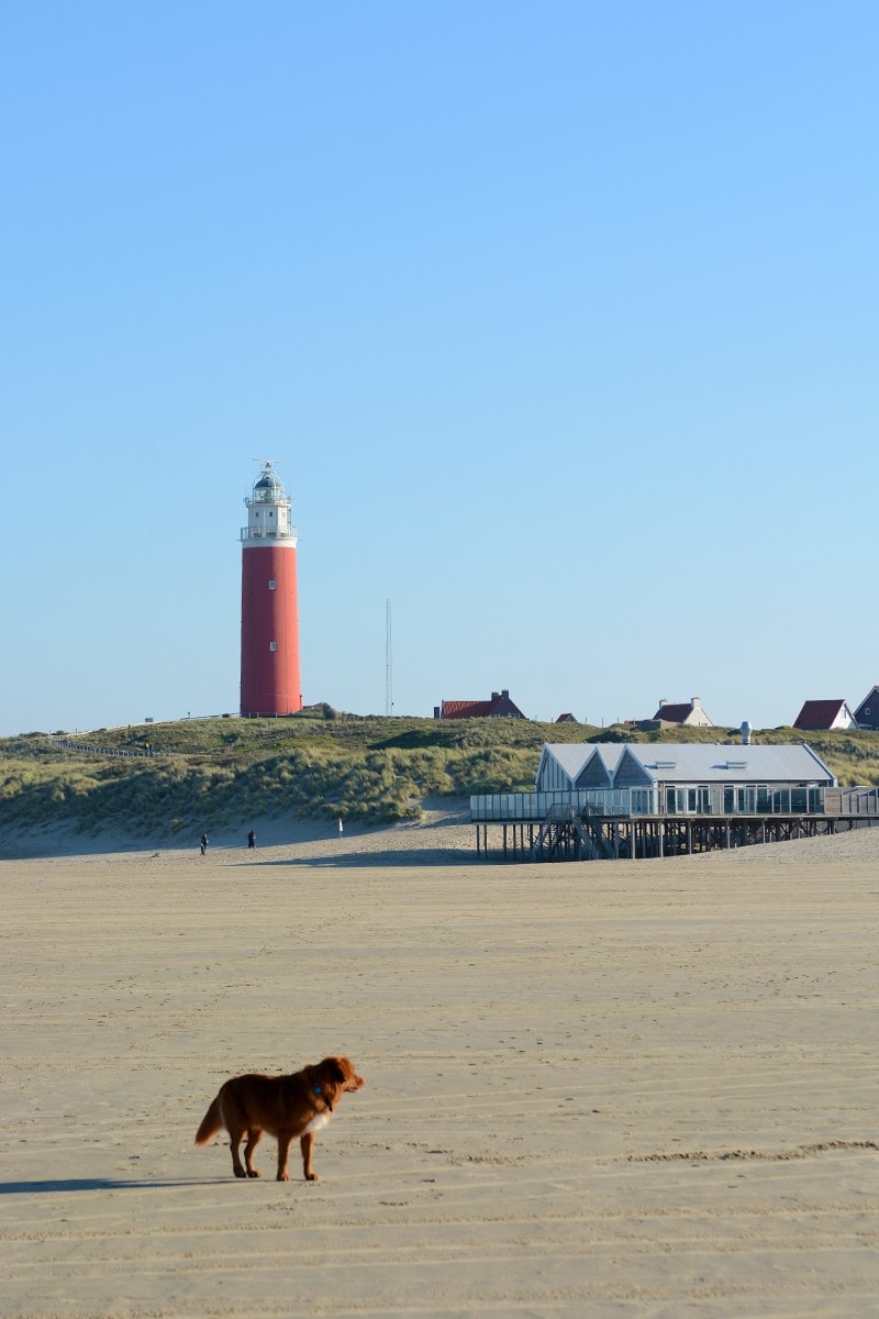 Texel vakantie