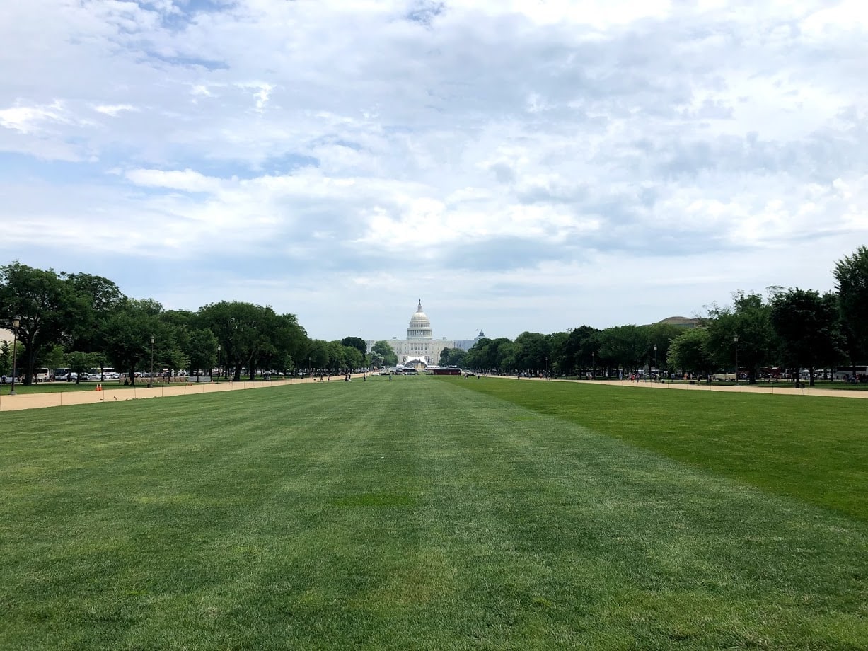 Washington DC in 1 dag, bezienswaardigheden en tips